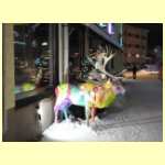 DSCN5140.JPG